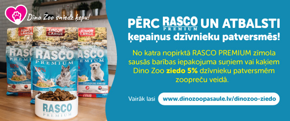 Dino Zoo ziedo  class=