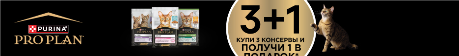 Подарок от Pro Plan для кошки