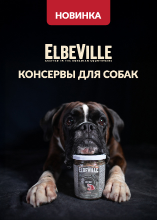 ElbeVille - новинка!