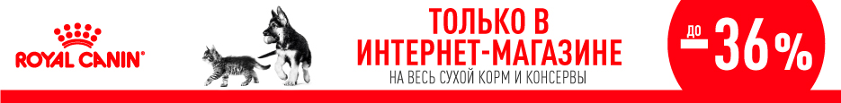 Elbeville – выгодное предложение
