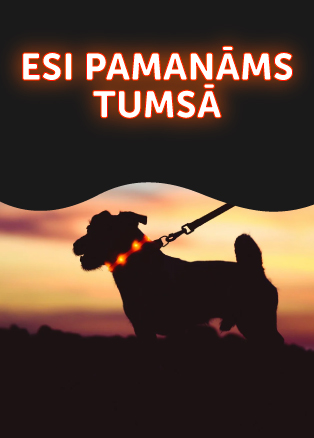 Esi pamanams tumsā