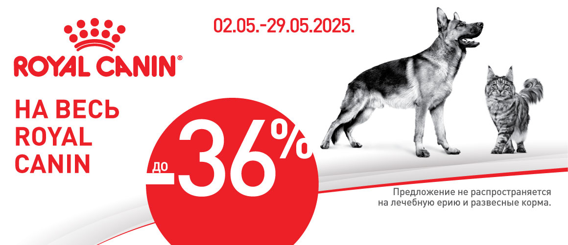 Royal Canin -40%  class=