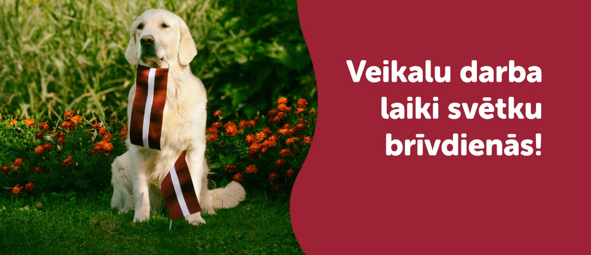 Darba laiks svētkos  class=