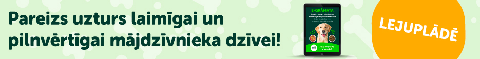 E-grāmata Dinozoo.lv