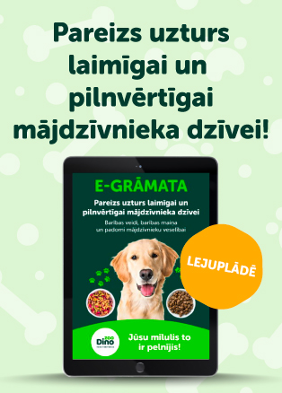 E-grāmata kaķiem
