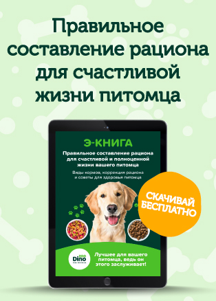 Электронная книга Dino Zoo