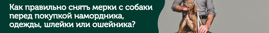 Как снять мерки с собаки?