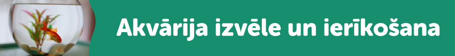 Akvārija izvēle un ierīkošana