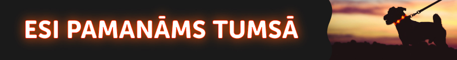 Esi pamanams tumsā