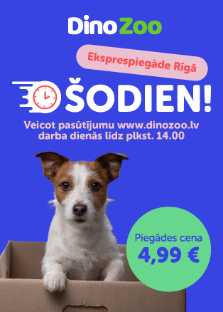 Piegāde Dinozoo.lv