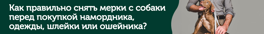 Как снять мерки с собаки?